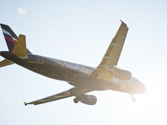    Фото: Москва 24/Александр Авилов