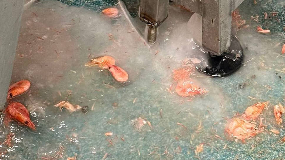 Фото: прокуратура Петербурга