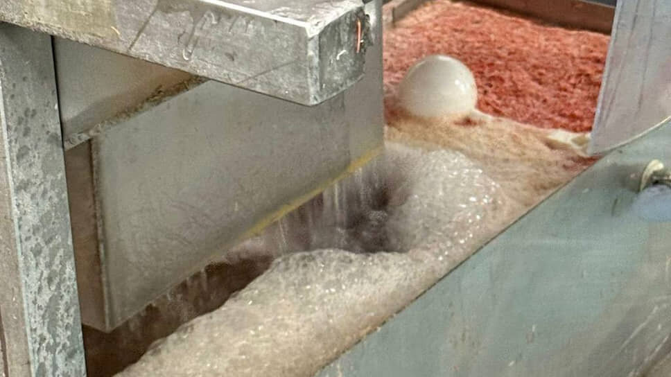 Фото: прокуратура Петербурга