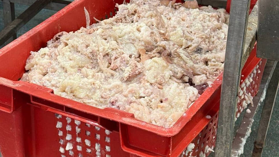 Фото: прокуратура Петербурга