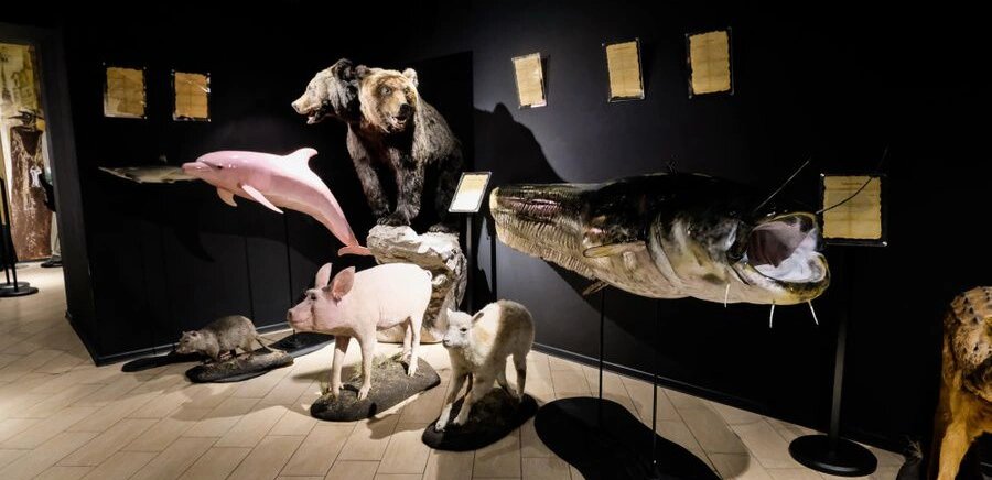 фото из интернета