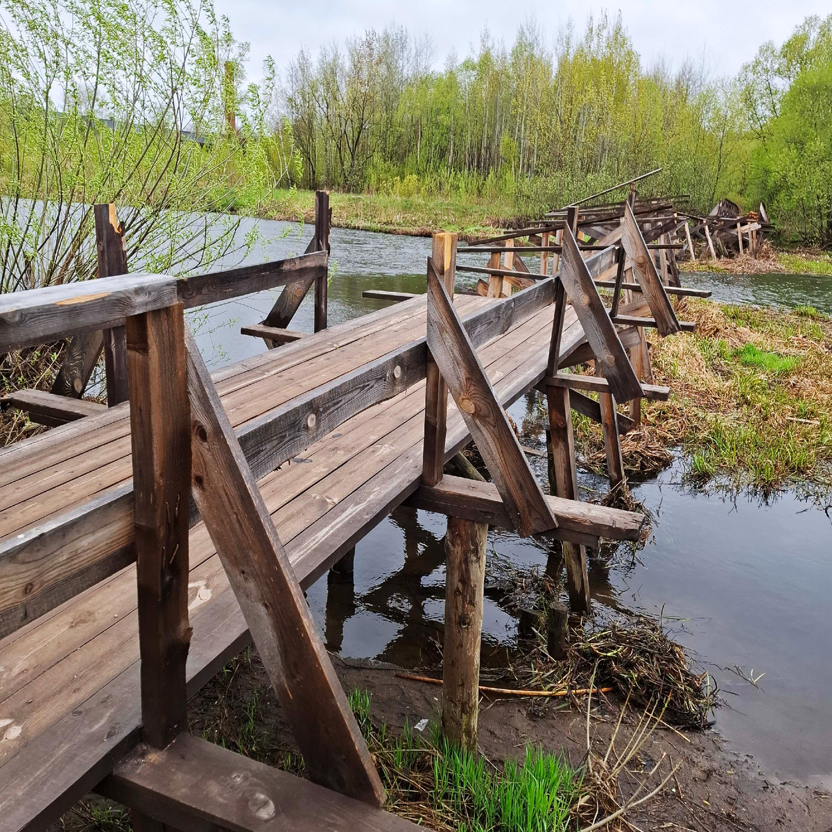 1 мая 2025 г. Выход на Заводские (Воздвиженские) лавы со стороны Заводского переулка. Фото автора.