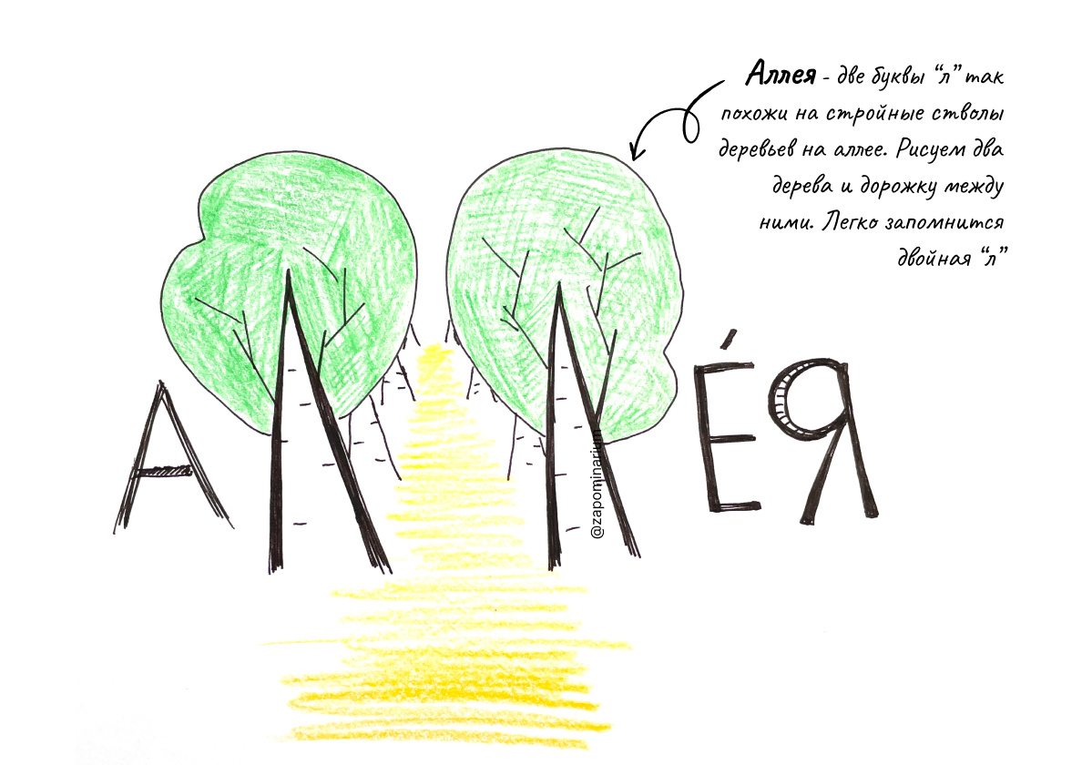 Словарное слово, 3 класс