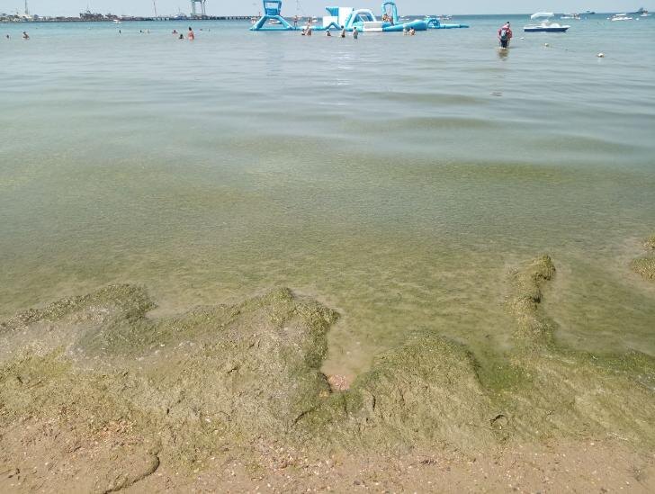    Фото: Пруфы.рф