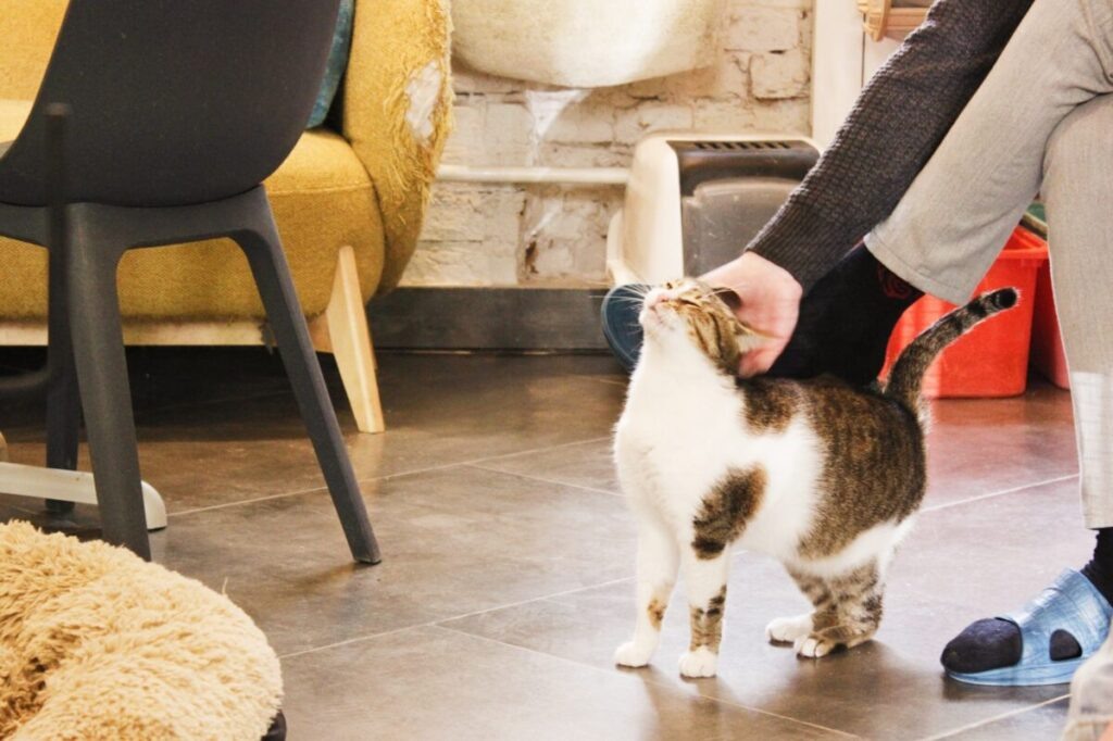 Фото: Евгения Федорова / АСИ