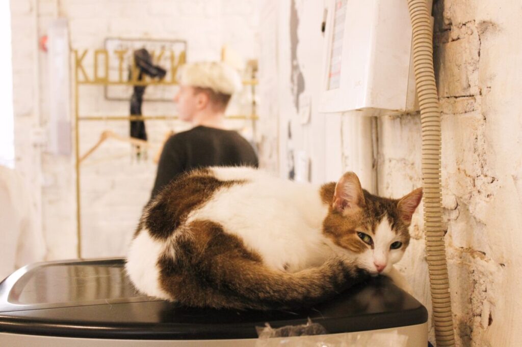 Фото: Евгения Федорова / АСИ