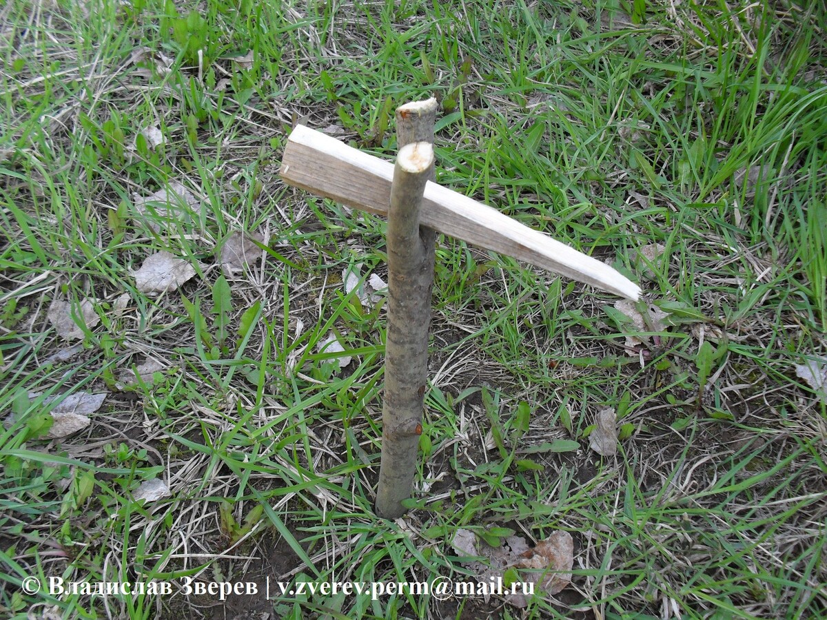 Фото 2. Указующая стрелка.