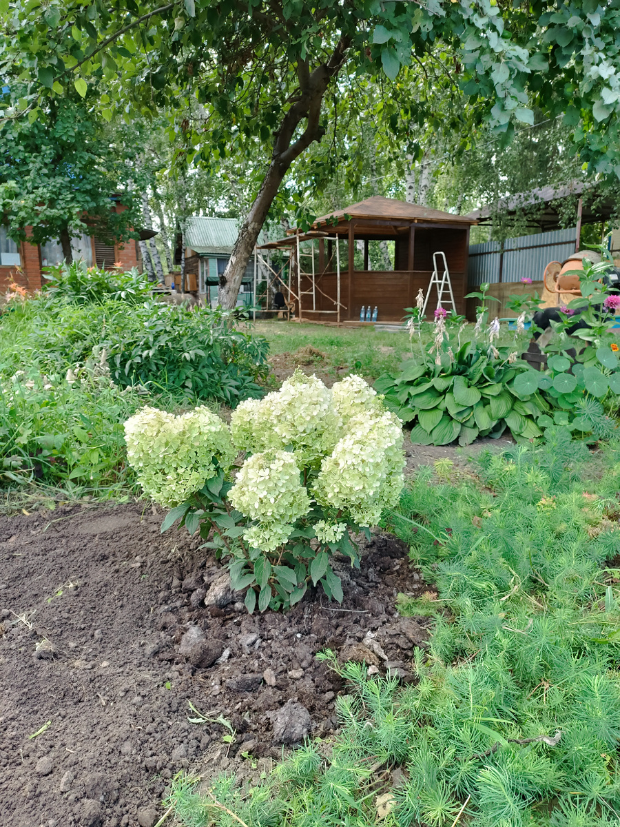 Фото прошлого года. Стройка на даче явление постоянное