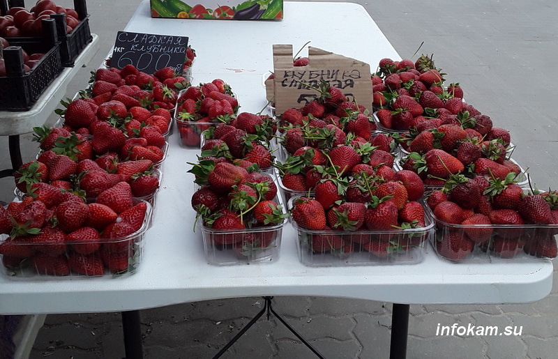    Клубника в Камышине