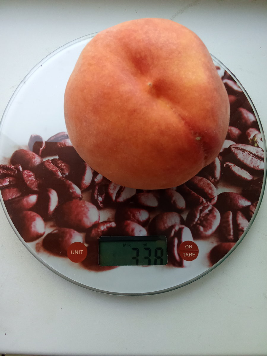 Персик Редхевен. Урожай 2025-го...