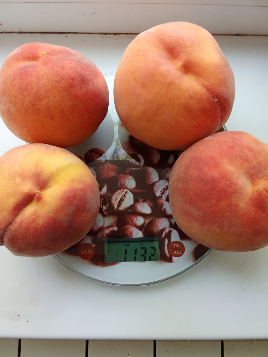 Мало плодов – большой вес.