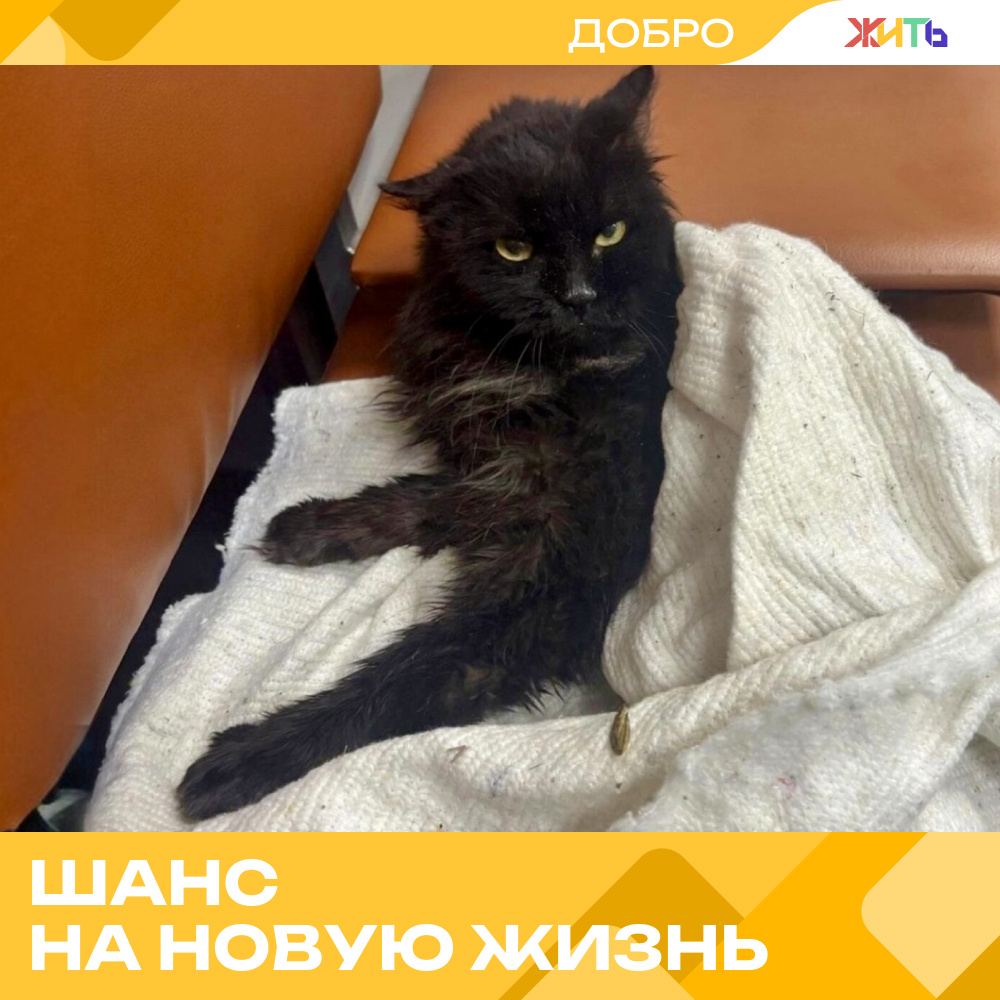 фото: Добро.рф