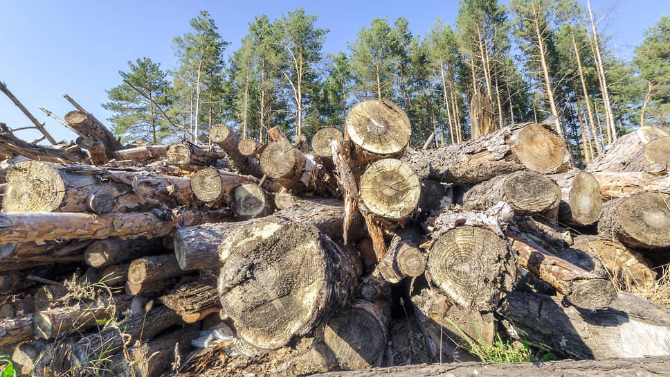 Фото: Игорь Елисеев / Коммерсантъ