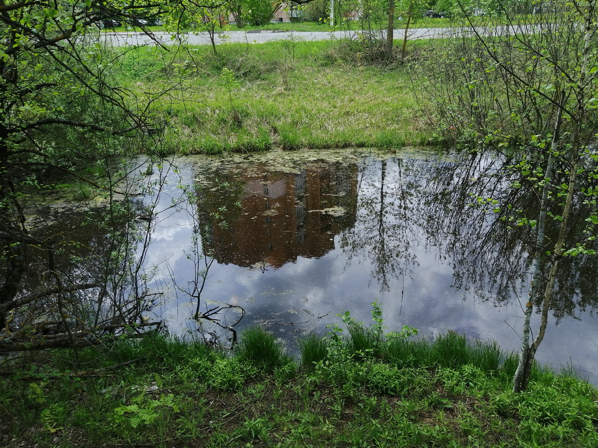 Дом отражается в пруду. 