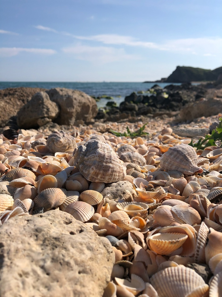 Малоизвестные пляжи Краснодарского края