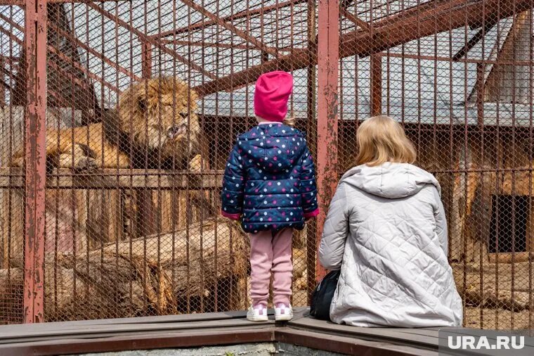 Ввод объекта будет в эксплуатацию состоится в ближайшее время. Фото: Руслан Яроцкий © URA.RU