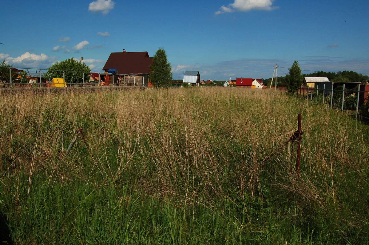 30 июня 2010 года. Знакомство с участком.  Направление на восток. 