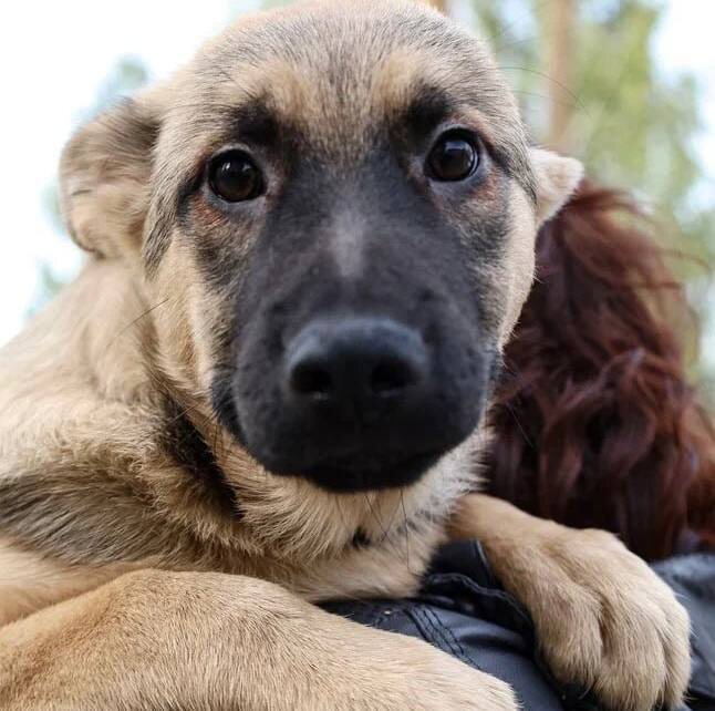    Фото: Елена Майорова Екатерина Устькачкинцева
