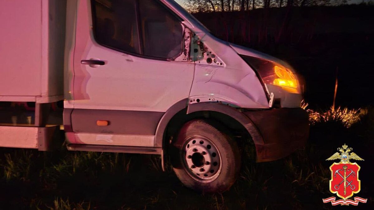    Фото: t.me/spb_police78