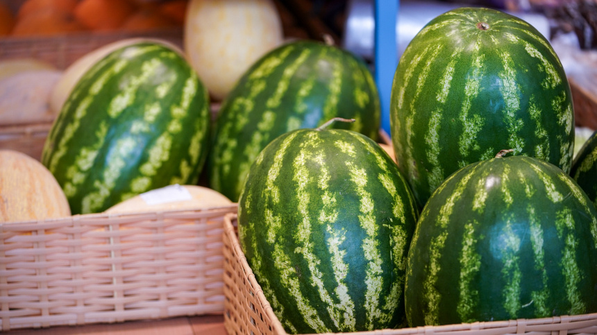    Фото: ИЗВЕСТИЯ/Сергей Лантюхов
