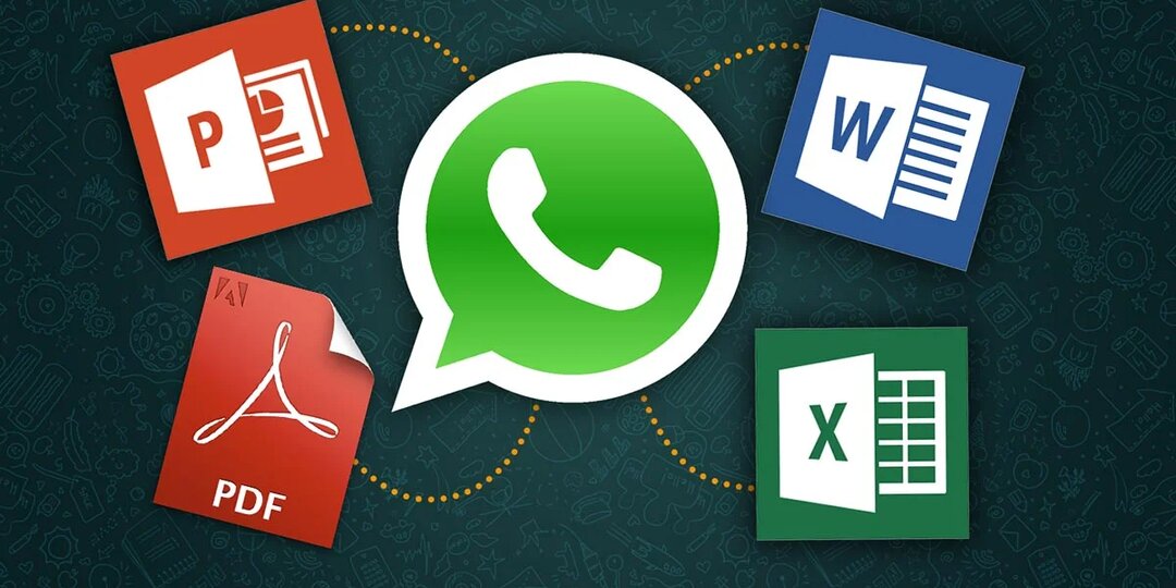 Как использовать WhatsApp для хранения и обмена документами