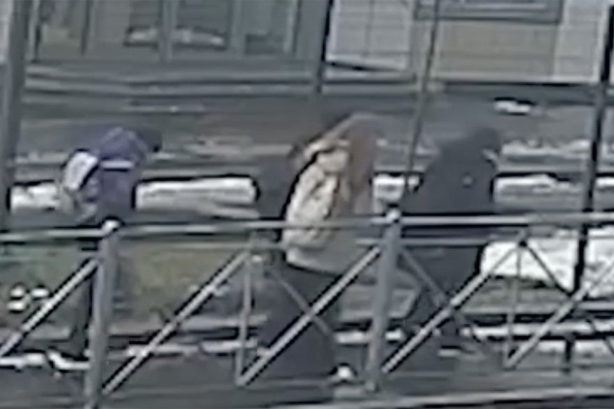 Кадр: Telegram-канал «Многонационал»