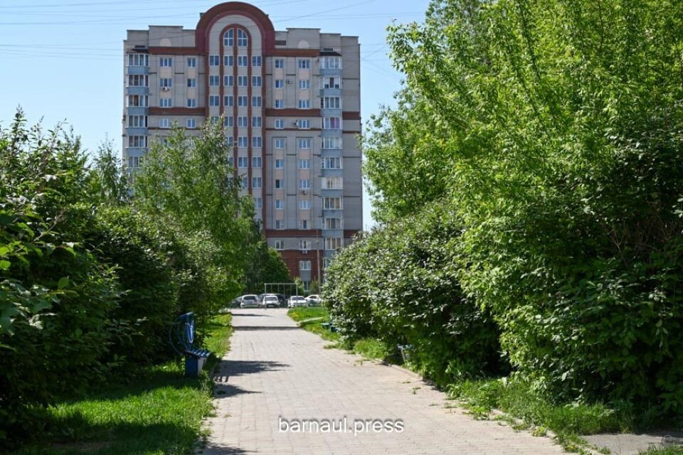    Сиреневый бульвар в Барнауле. Источник: barnaul.org