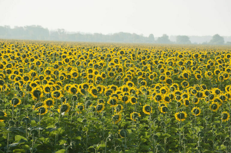   Юрий Инякин/ПГ