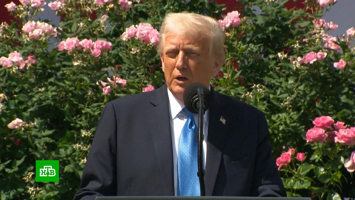    FT: европейских лидеров шокировали итоги беседы Путина и Трампа