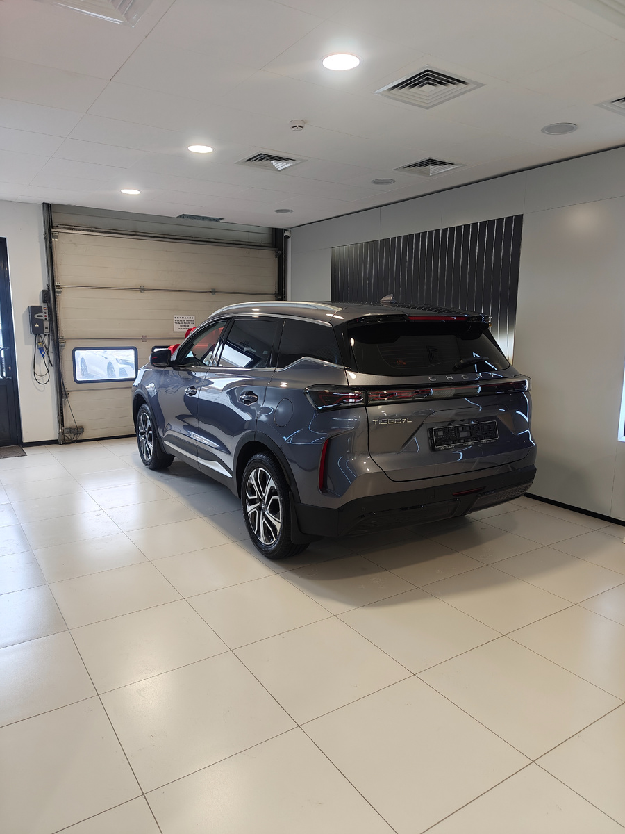 Серый красавчик