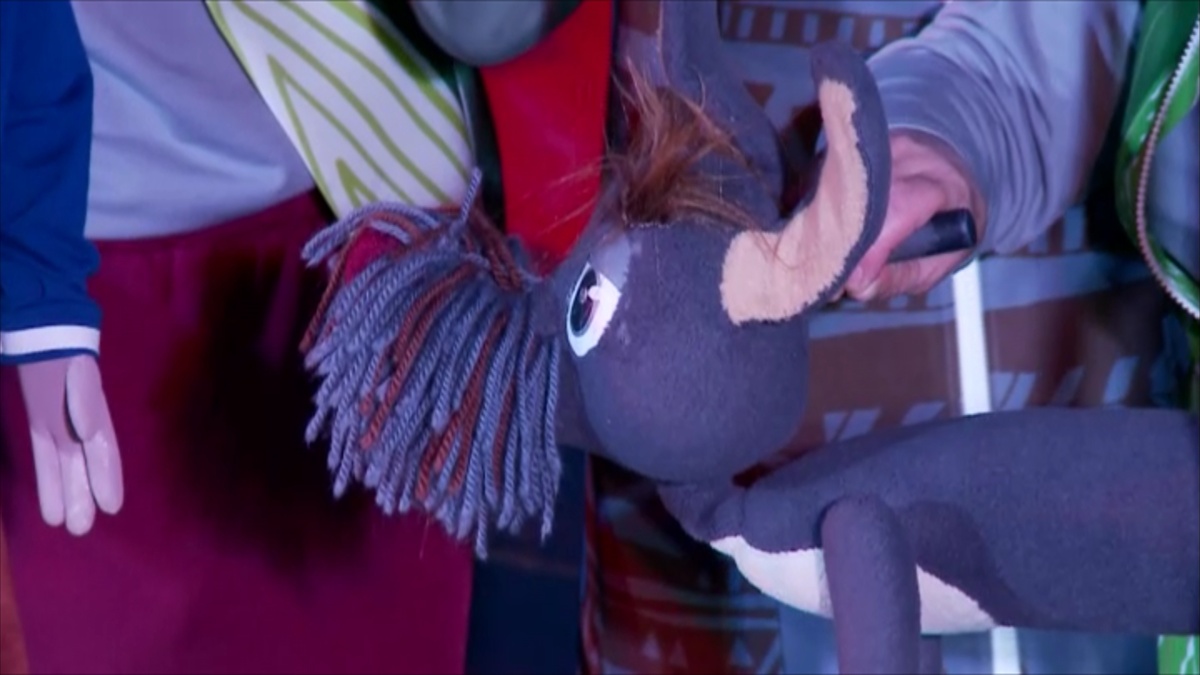 кадр из программы "Вечерний хэштег"