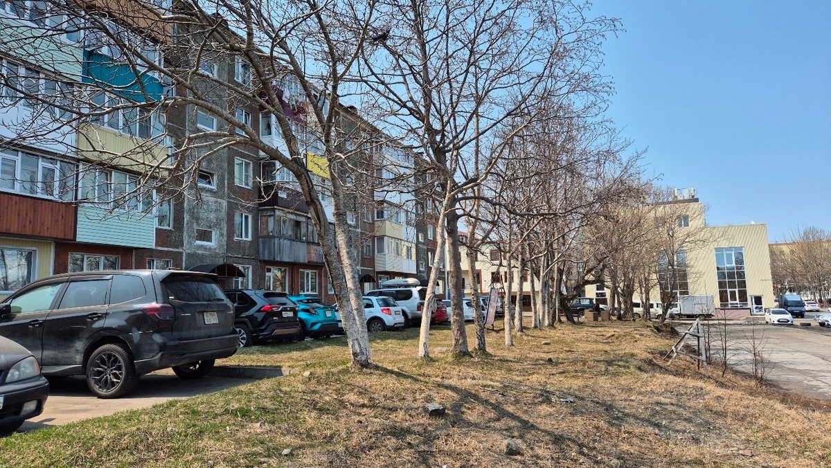 Фото: Дворы Петропавловска-Камчатского / Администрация ПКГО