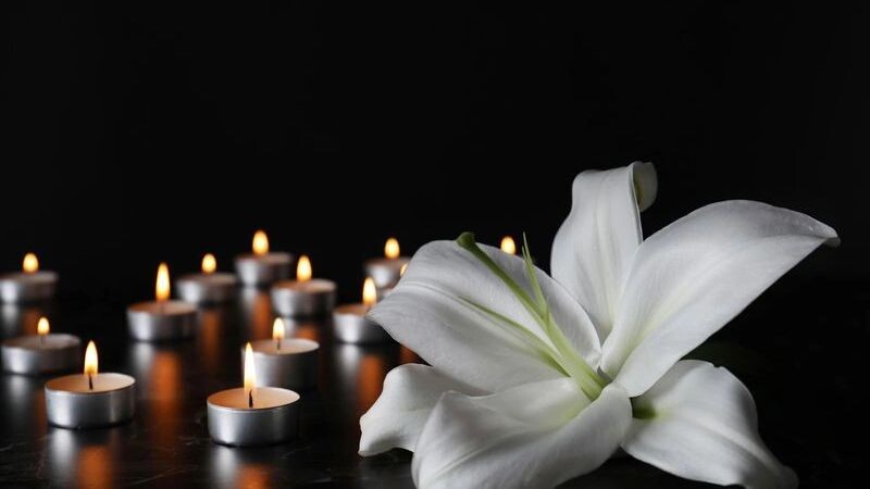    Фото: New Africa/Shutterstock/Fotodom