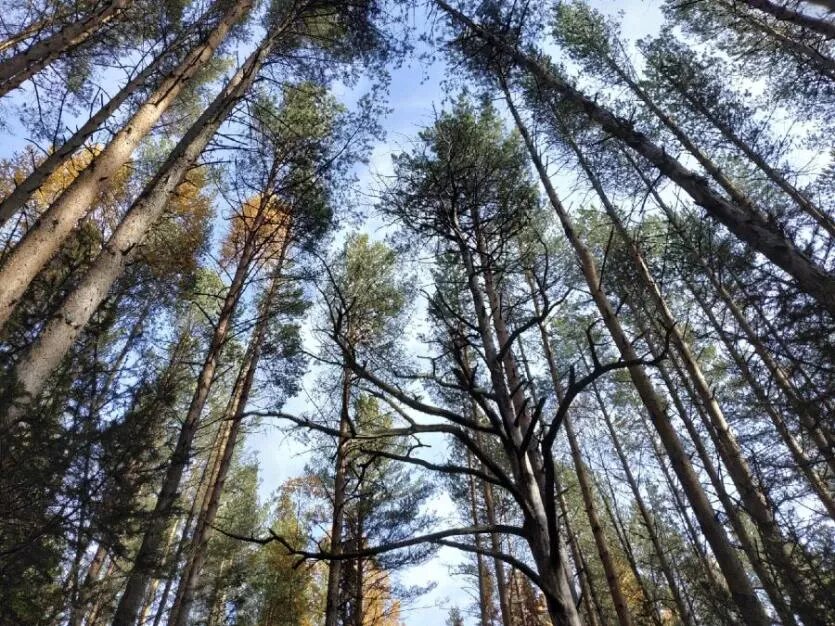 Фото: Евгения Александрова