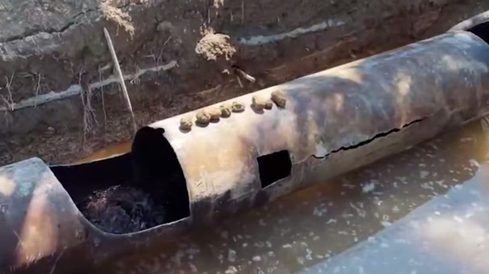 Фото: пресс-служба администрации Новороссийска