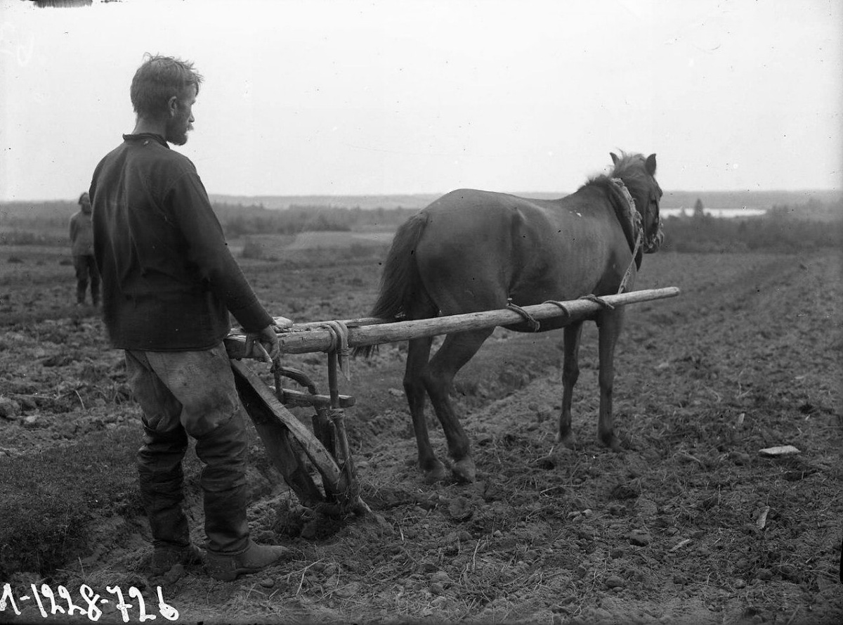 Конный однолемешной плуг. Примерно так пахали землю крестьяне.