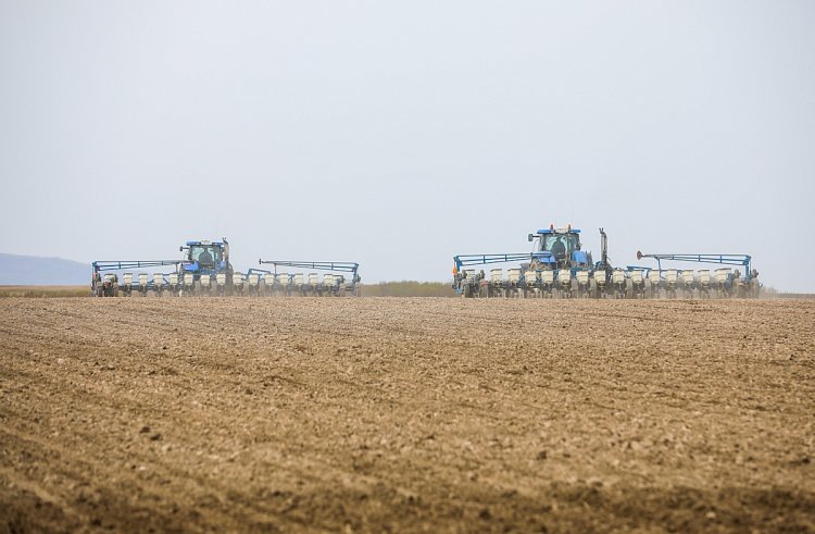    Приморье сеет сою урожая 2025