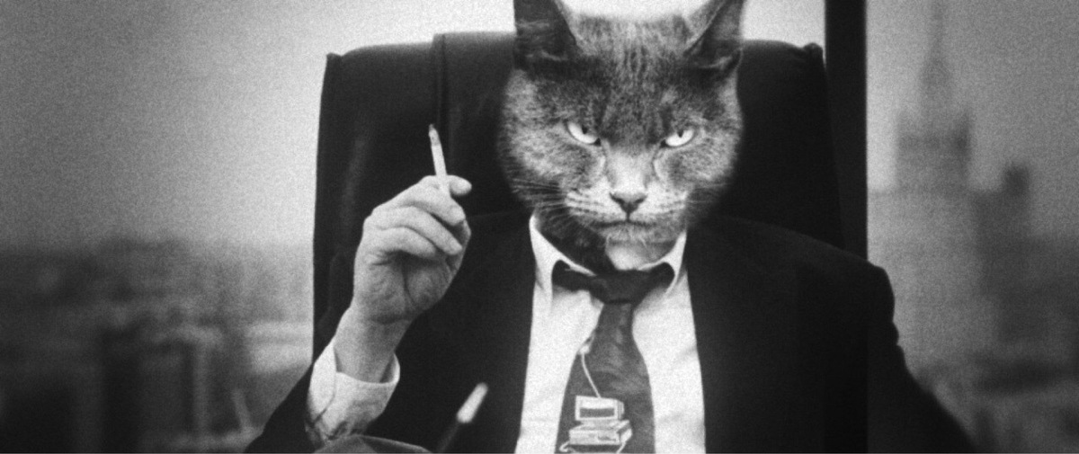 из интернета