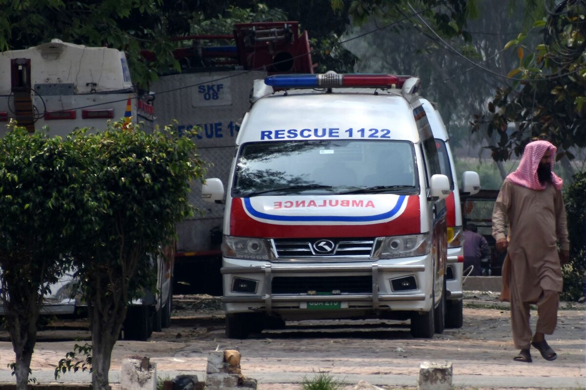     / Источник: © Global Look Press