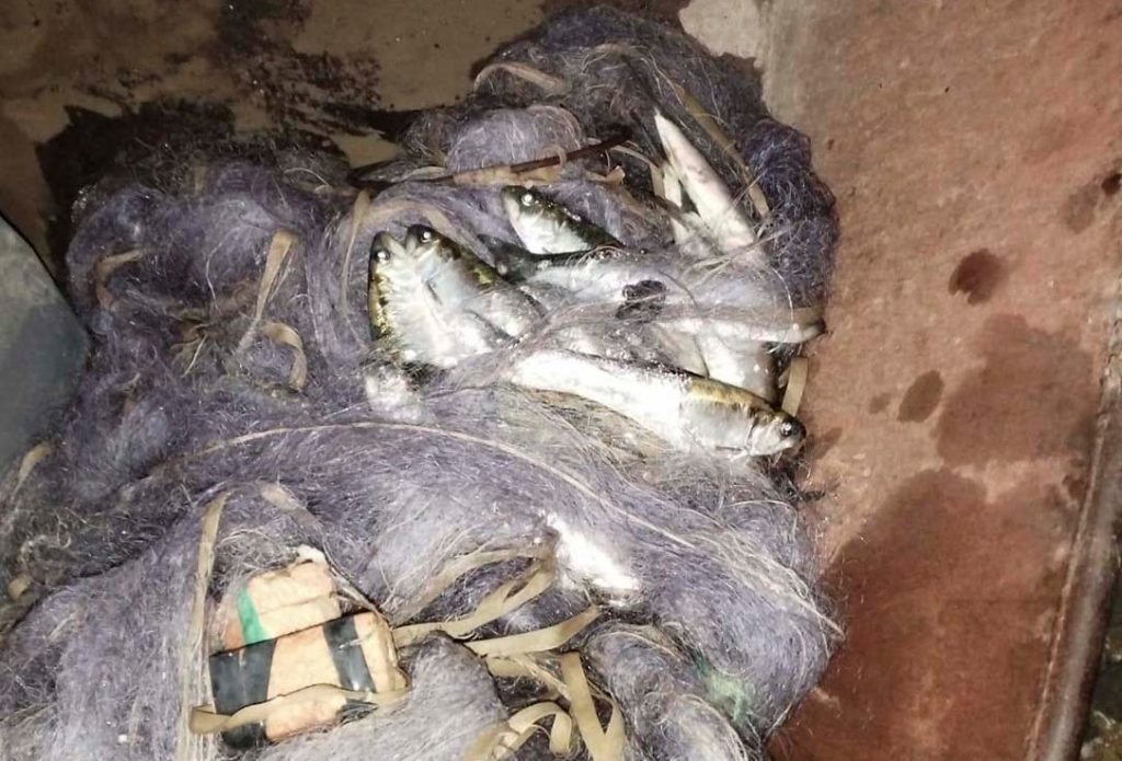    Фото: пресс-служба УТ МВД России по СКФО Редактор