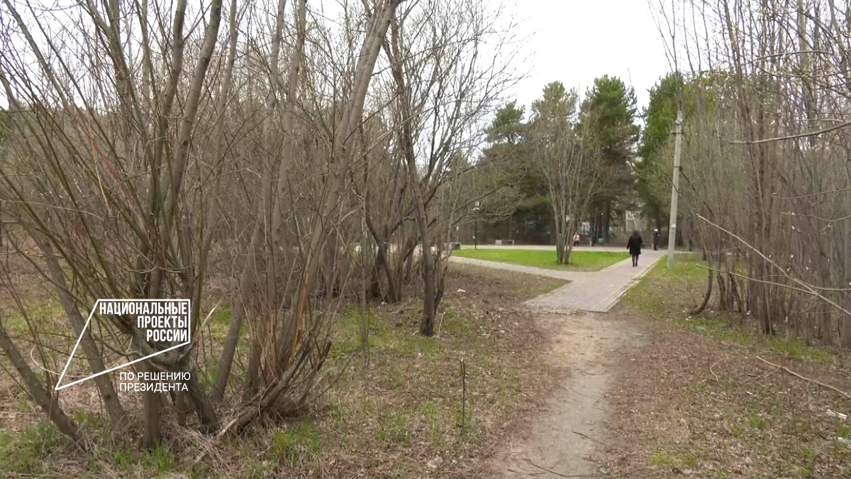    В Сургуте планируют превратить пустырь в набережную