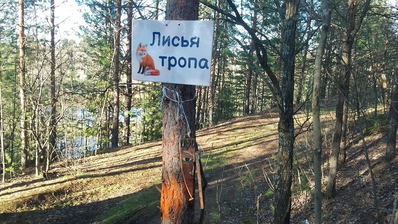 Экотропа «Лисья». Фото: Григорий Пименов
