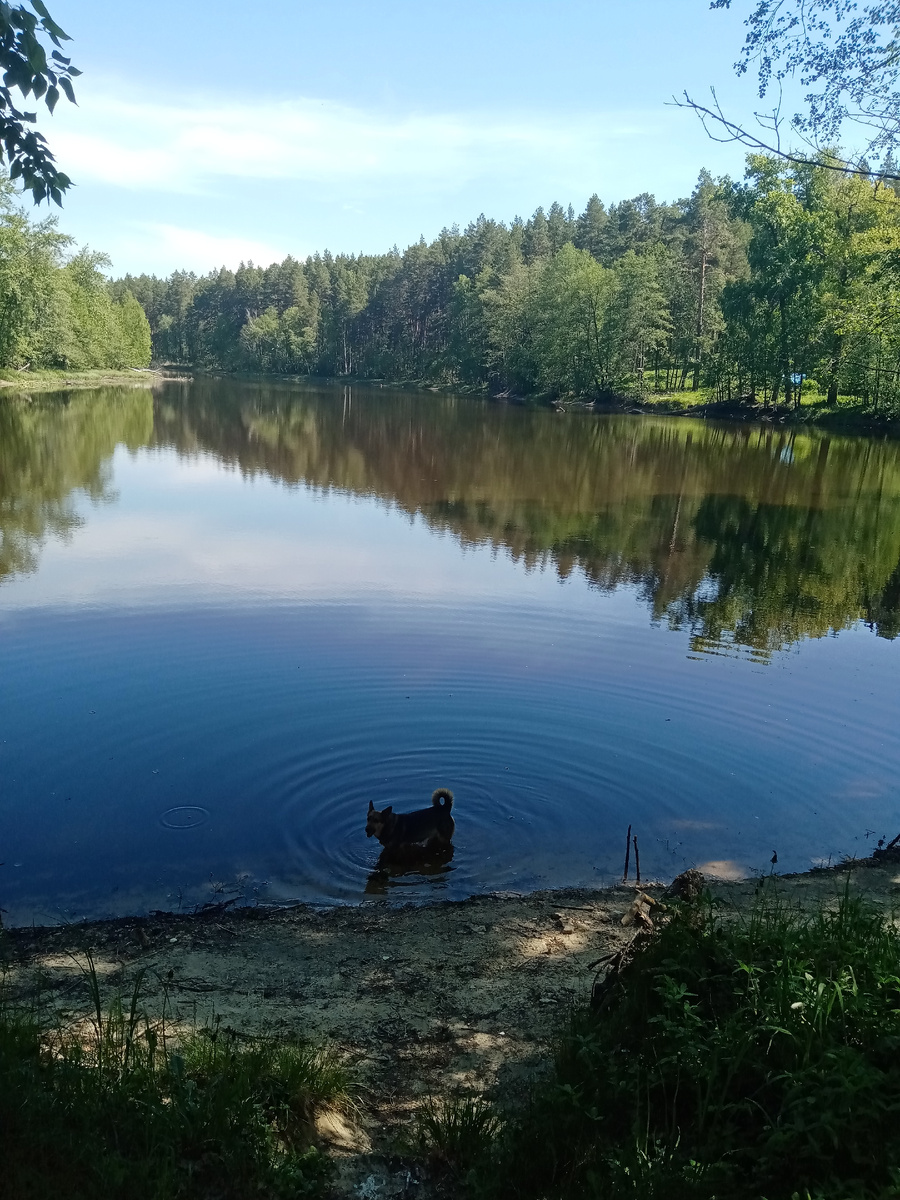 Это прошлогоднее фото. Примерно такую картину мы ожидали увидеть.