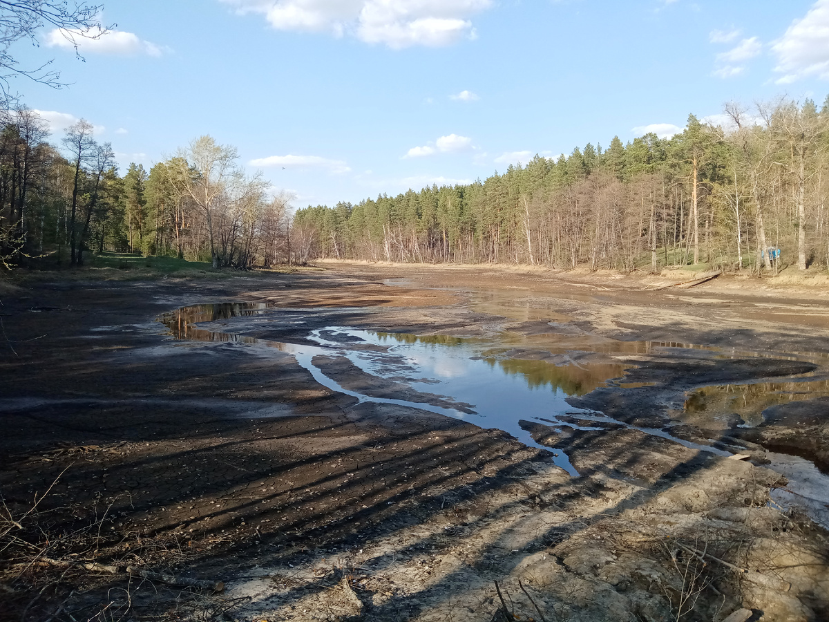 А это представшая пред нами реальность.