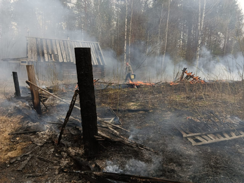    Жилой дом едва не сгорел из-за пала травы в КарелииГоскомитет Карелии по ОЖ и БН
