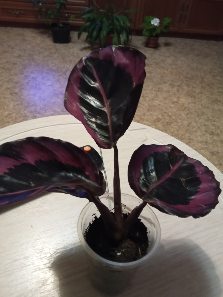 Это сразу по приезду.