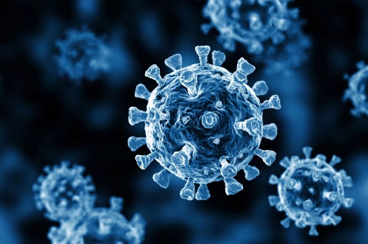    Мутант с орбиты.