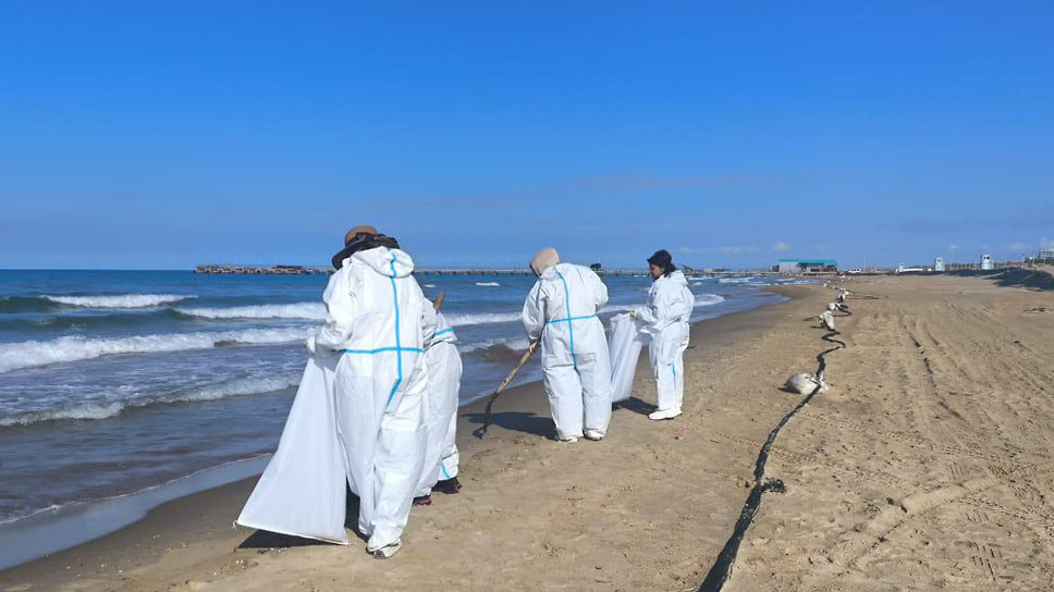 Фото: Telegram-канал оперштаба Кубани