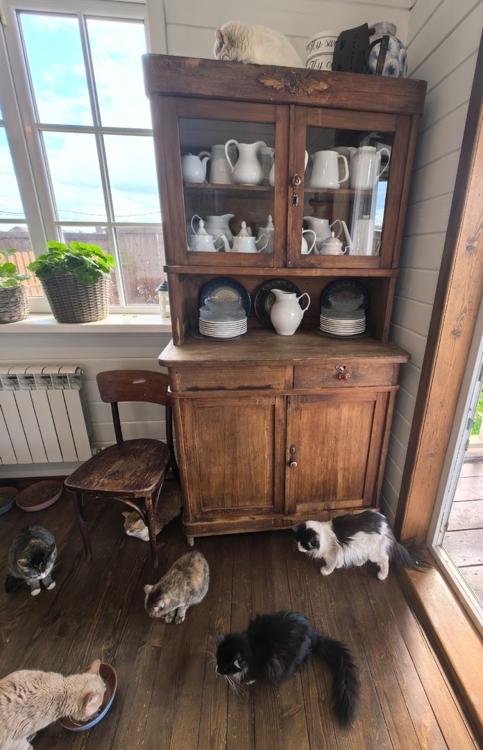 Состояние на сегодня — красивый, но грустный