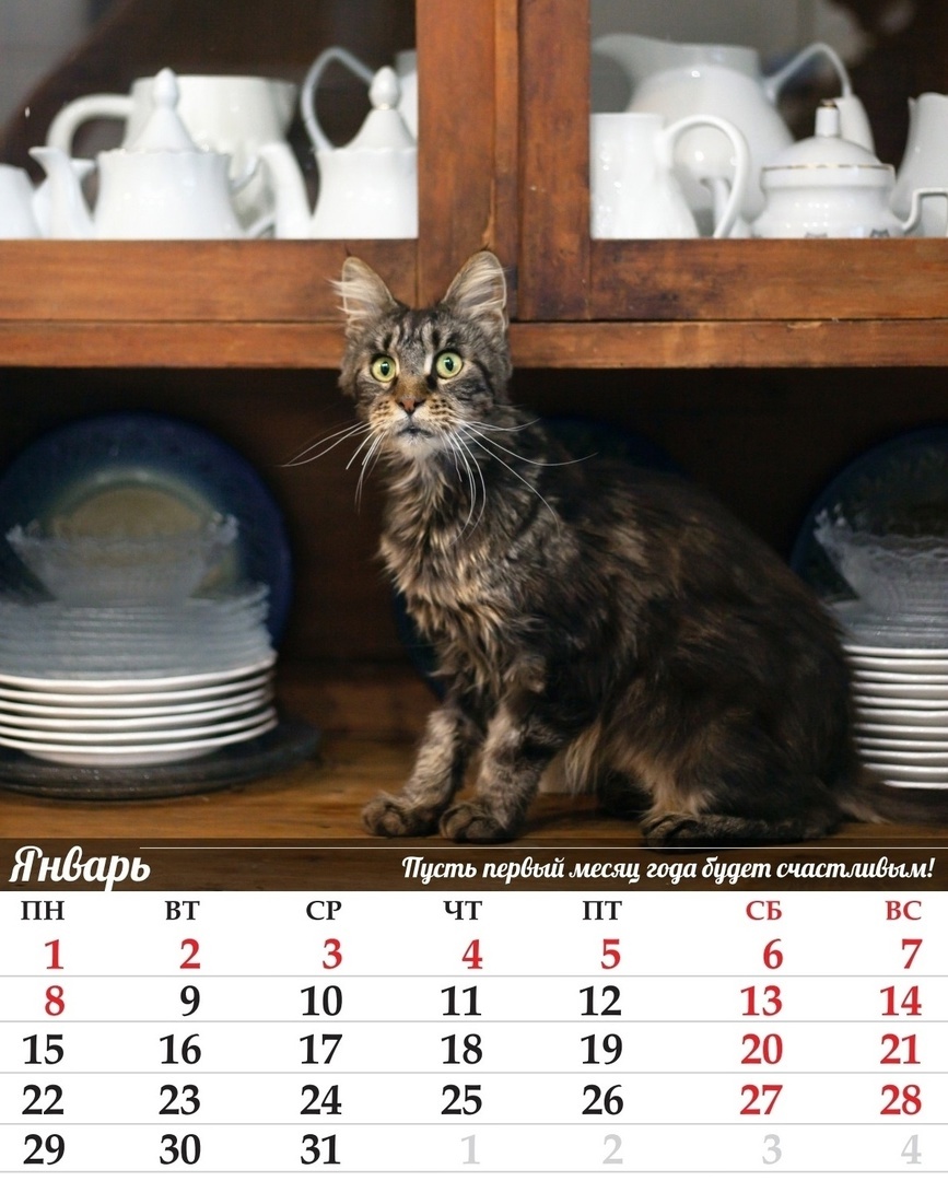 Наш буфет — это не просто мебель, это ещё и фотозона